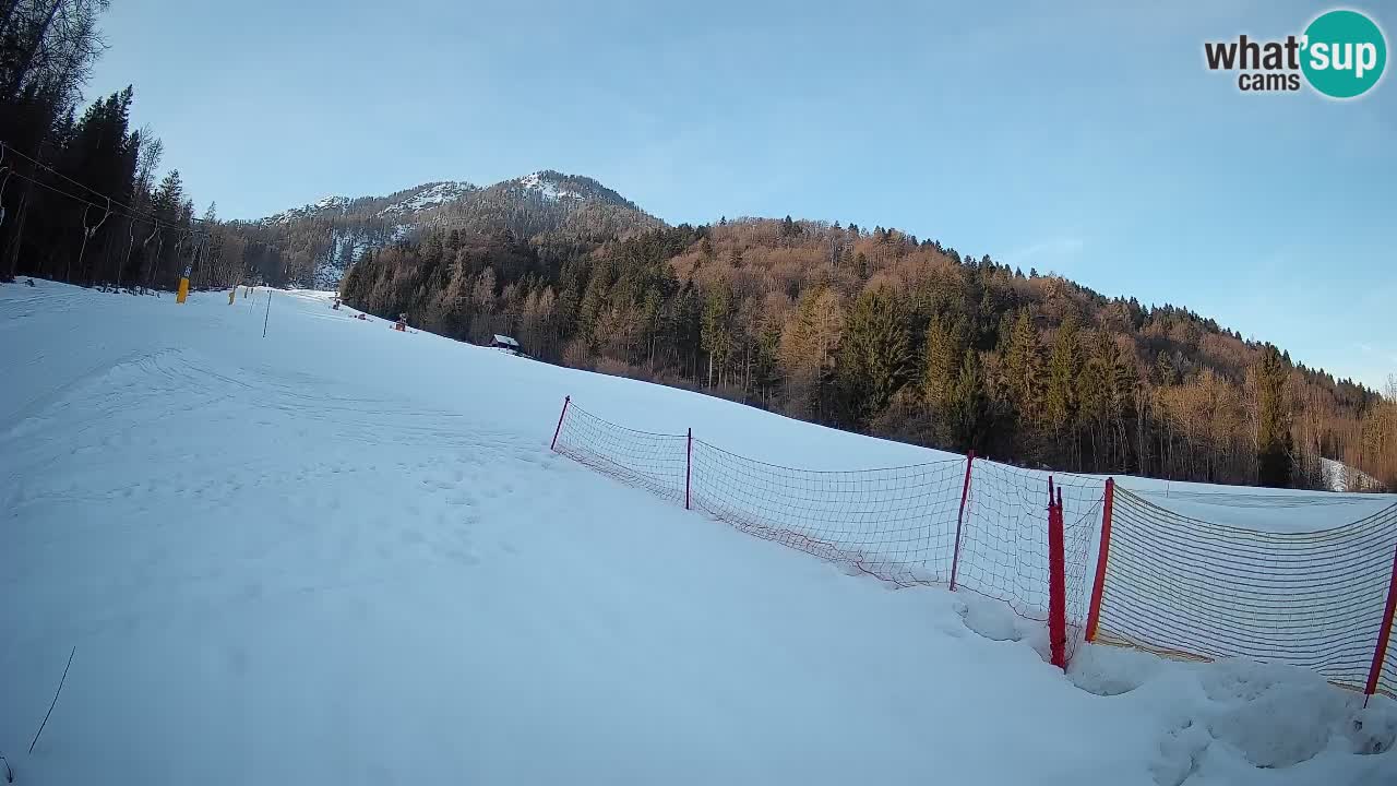 RTC Skigebiet Kranjska Gora | Brsnina