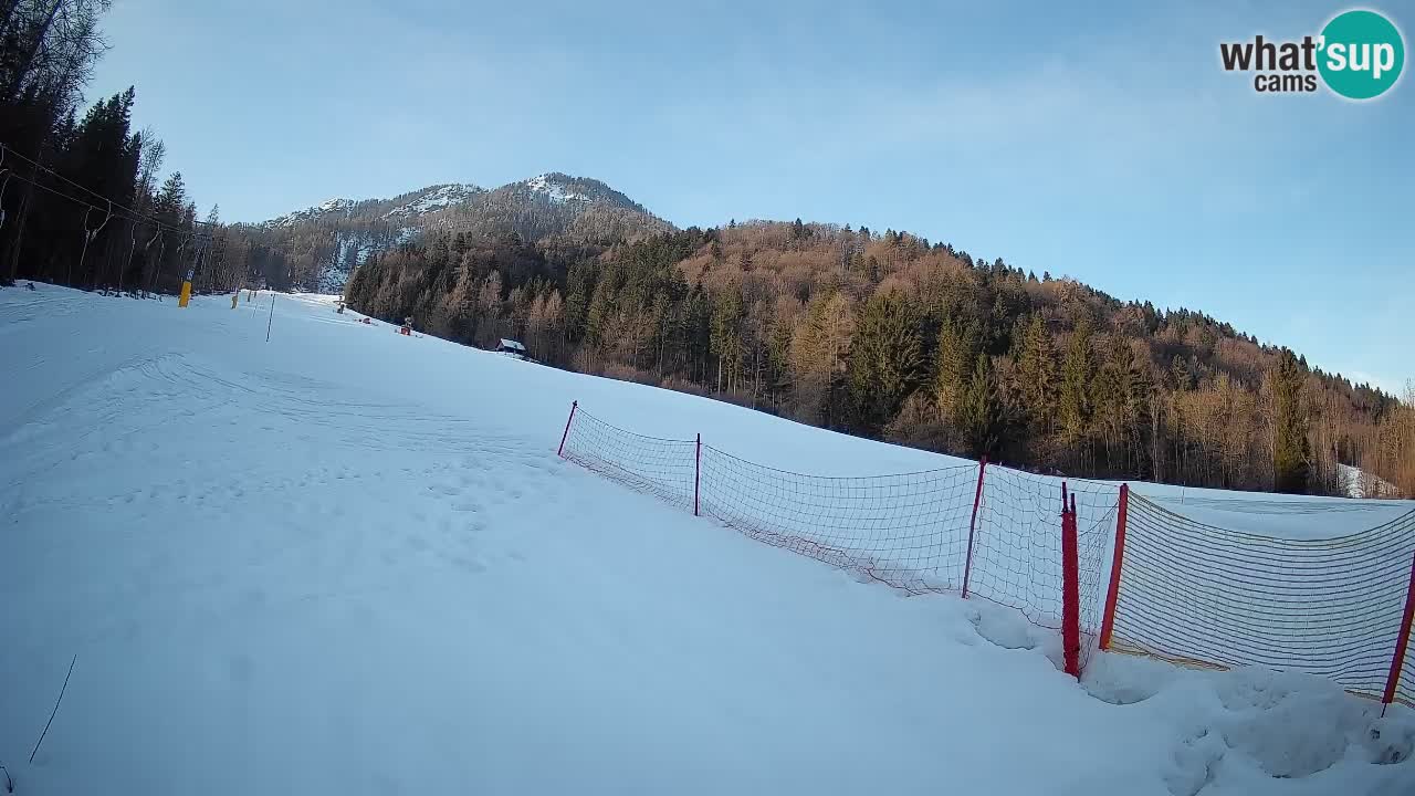 Esquí Kranjska Gora | Brsnina