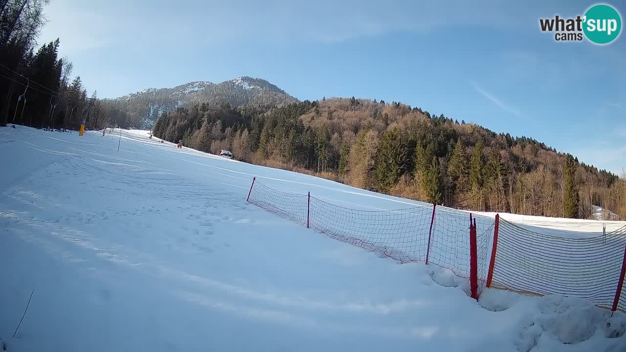 RTC Kranjska Gora | Brsnina