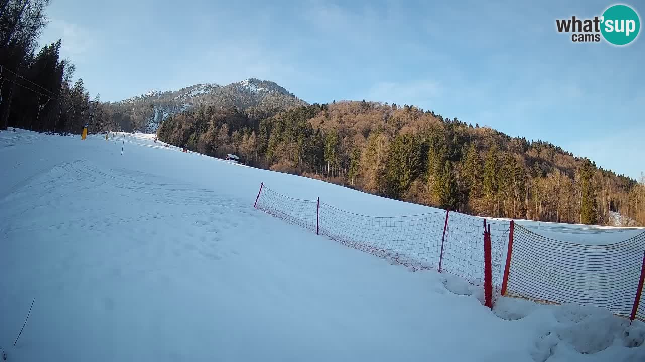 Ski Kranjska Gora | Brsnina