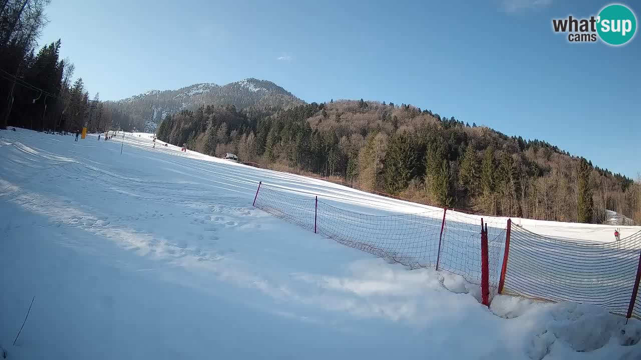 Comprensorio sciistico Kranjska Gora | Brsnina