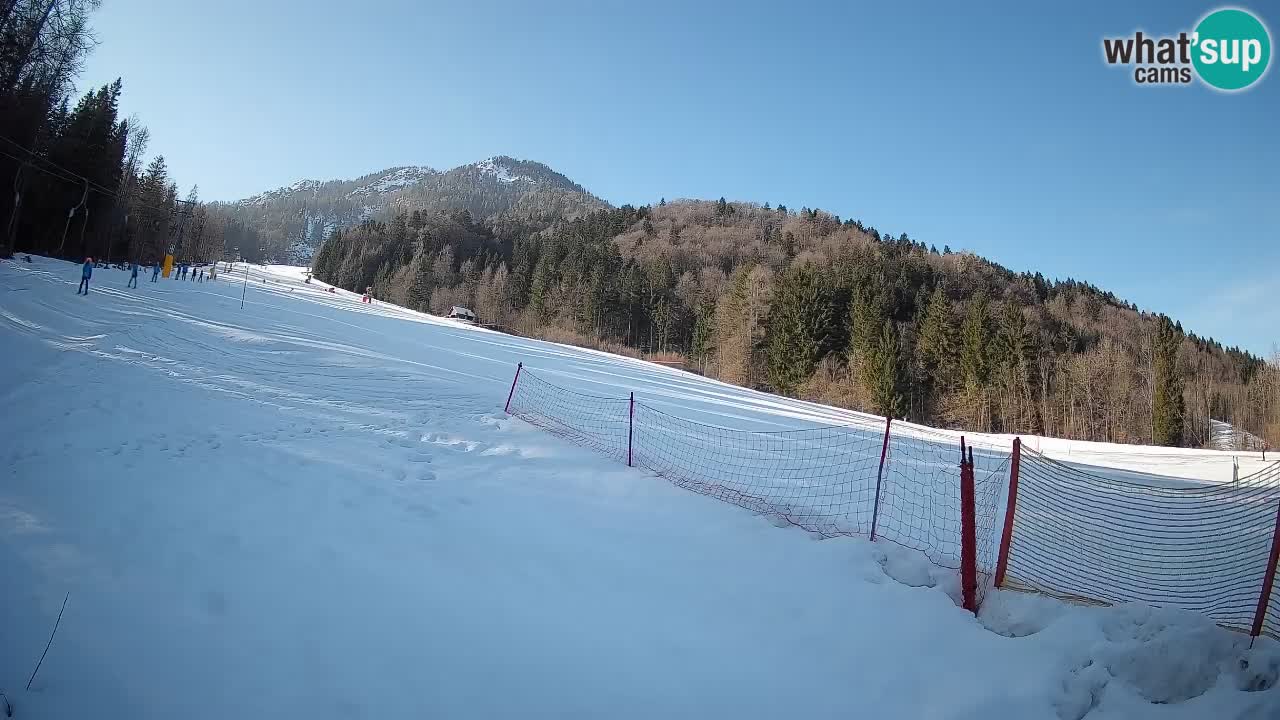 Comprensorio sciistico Kranjska Gora | Brsnina