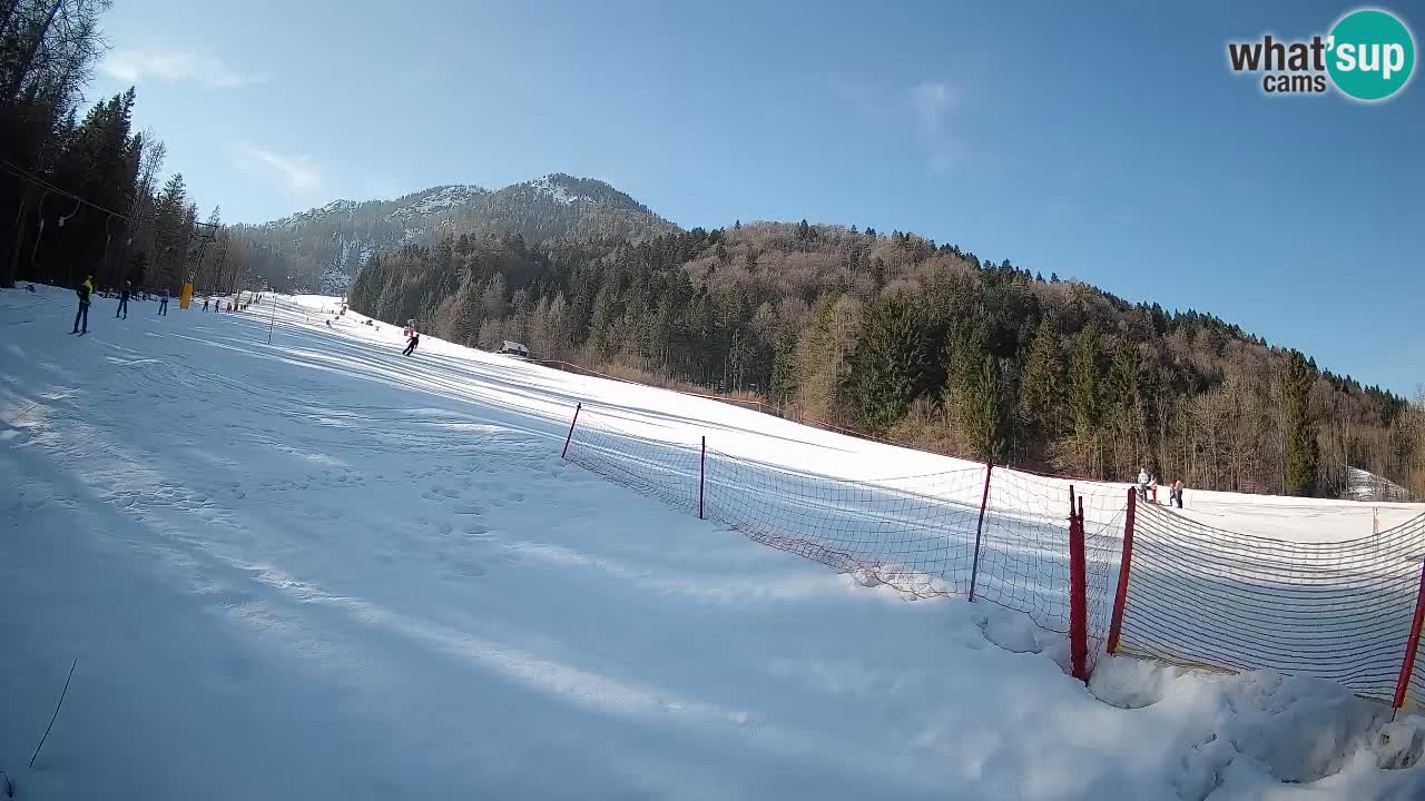 RTC Skigebiet Kranjska Gora | Brsnina