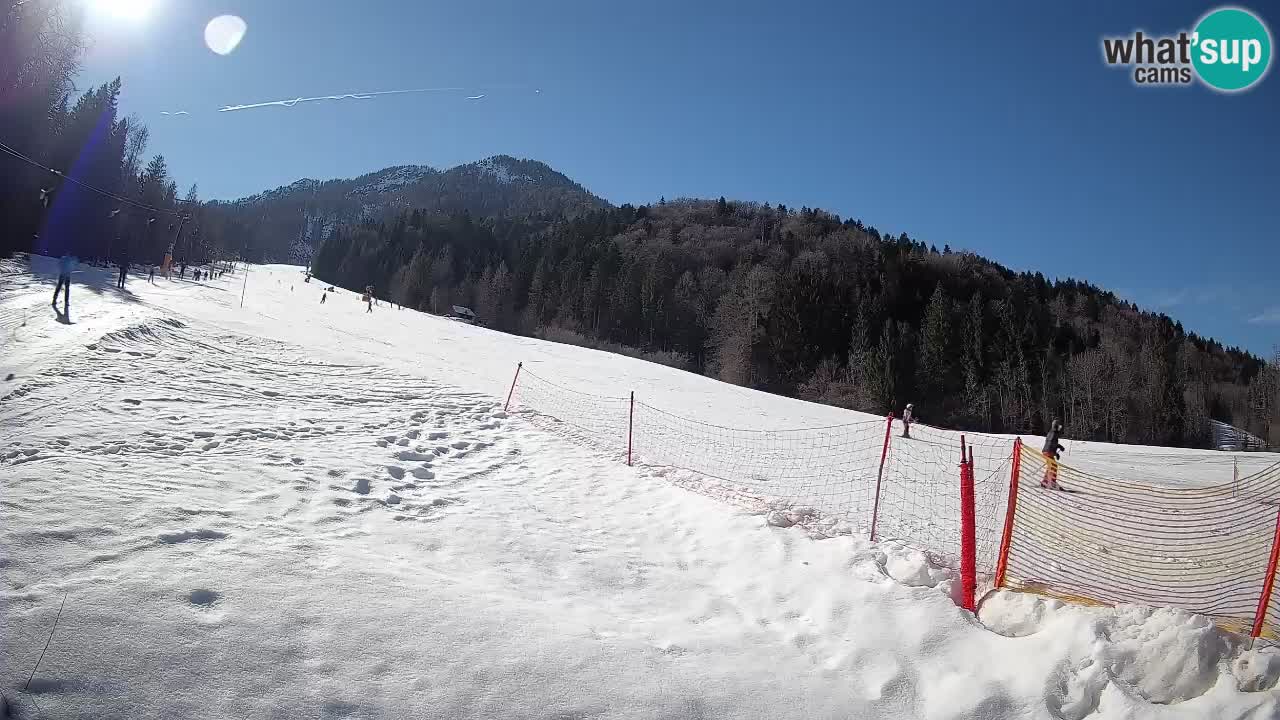 RTC Skigebiet Kranjska Gora | Brsnina
