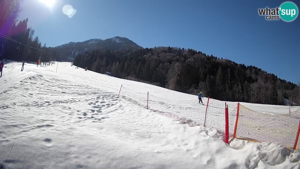 Comprensorio sciistico Kranjska Gora | Brsnina