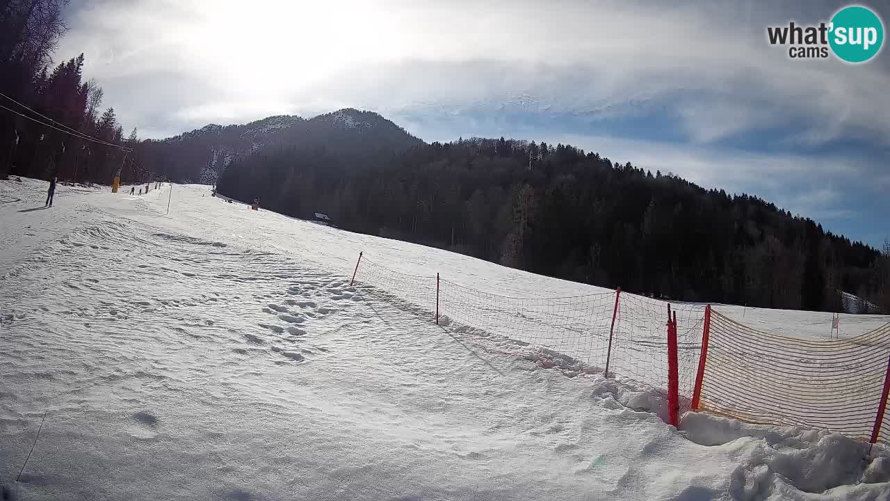 Kranjska Gora SKIJANJE | Brsnina