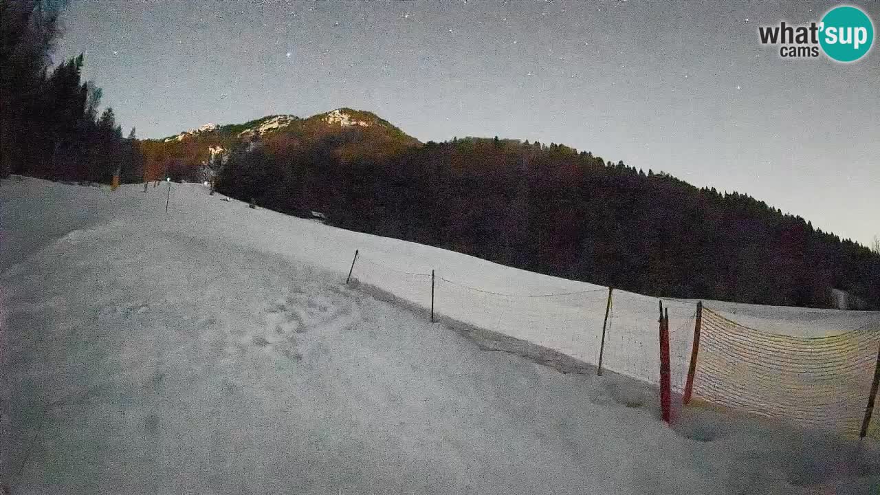 RTC Kranjska Gora | Brsnina