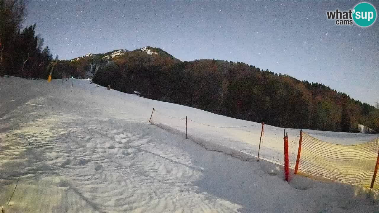 RTC Skigebiet Kranjska Gora | Brsnina
