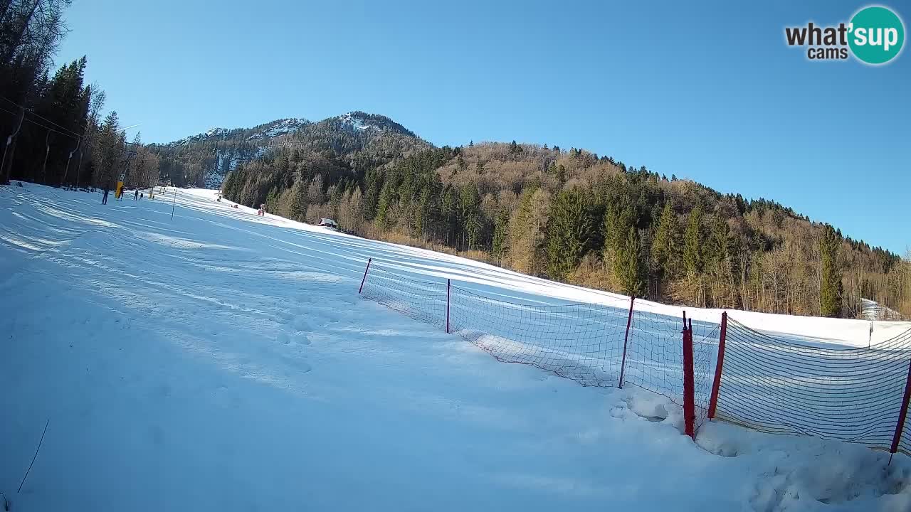 RTC Skigebiet Kranjska Gora | Brsnina