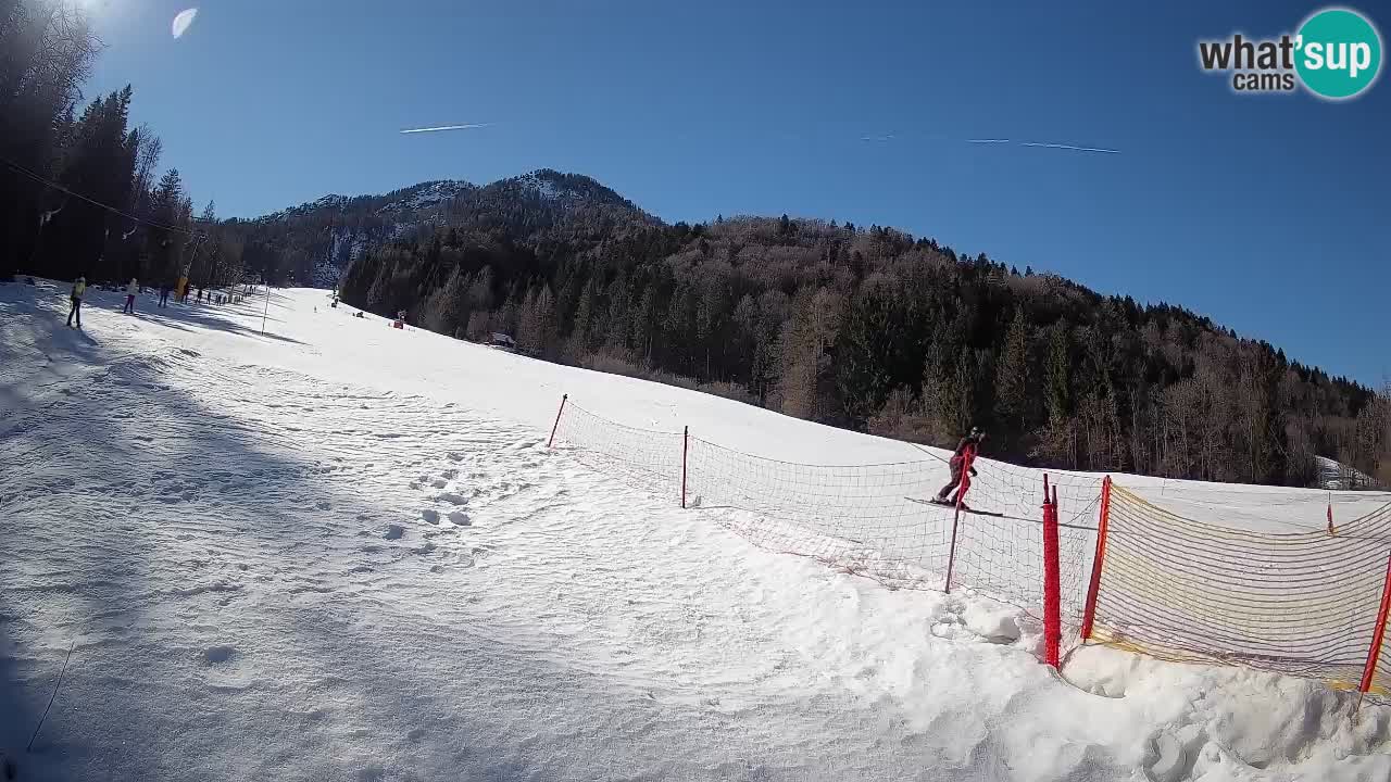 Comprensorio sciistico Kranjska Gora | Brsnina