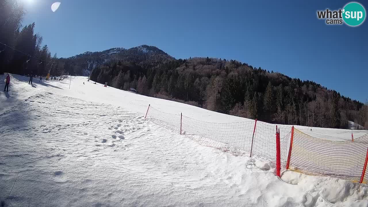 Kranjska Gora Station de ski | Brsnina