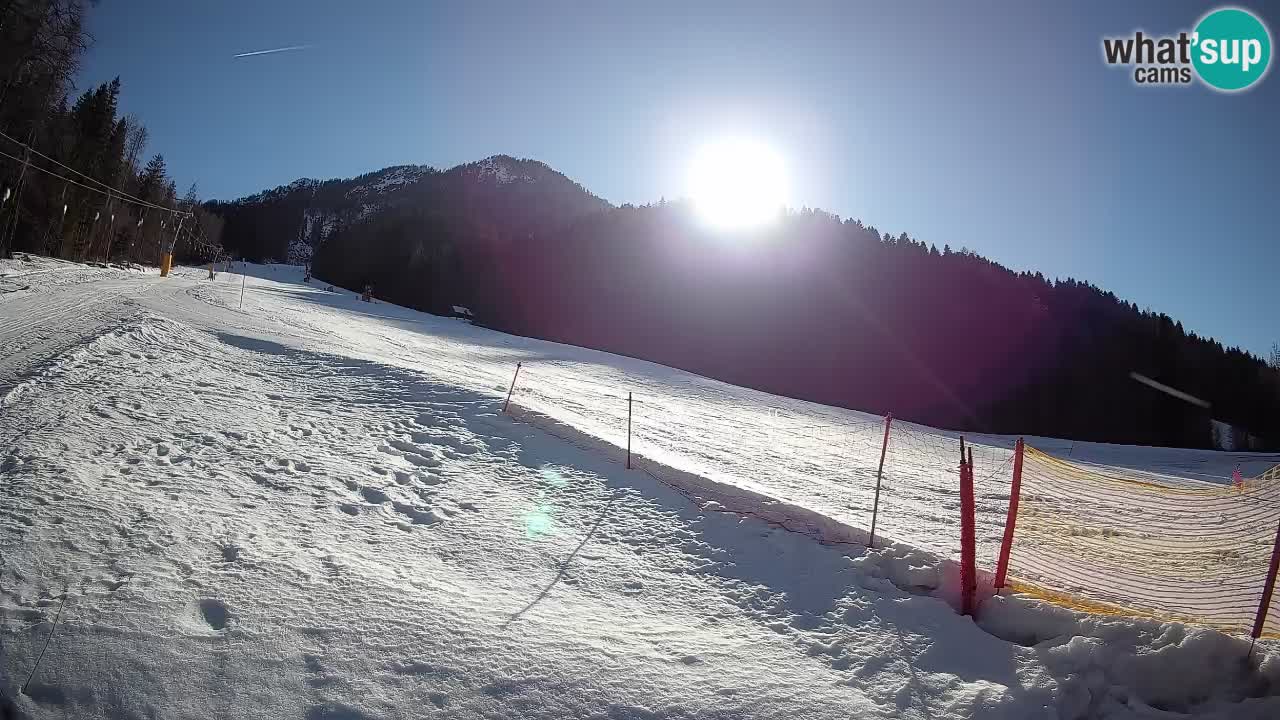 RTC Kranjska Gora | Brsnina
