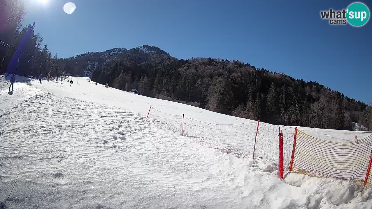 Ski Kranjska Gora | Brsnina