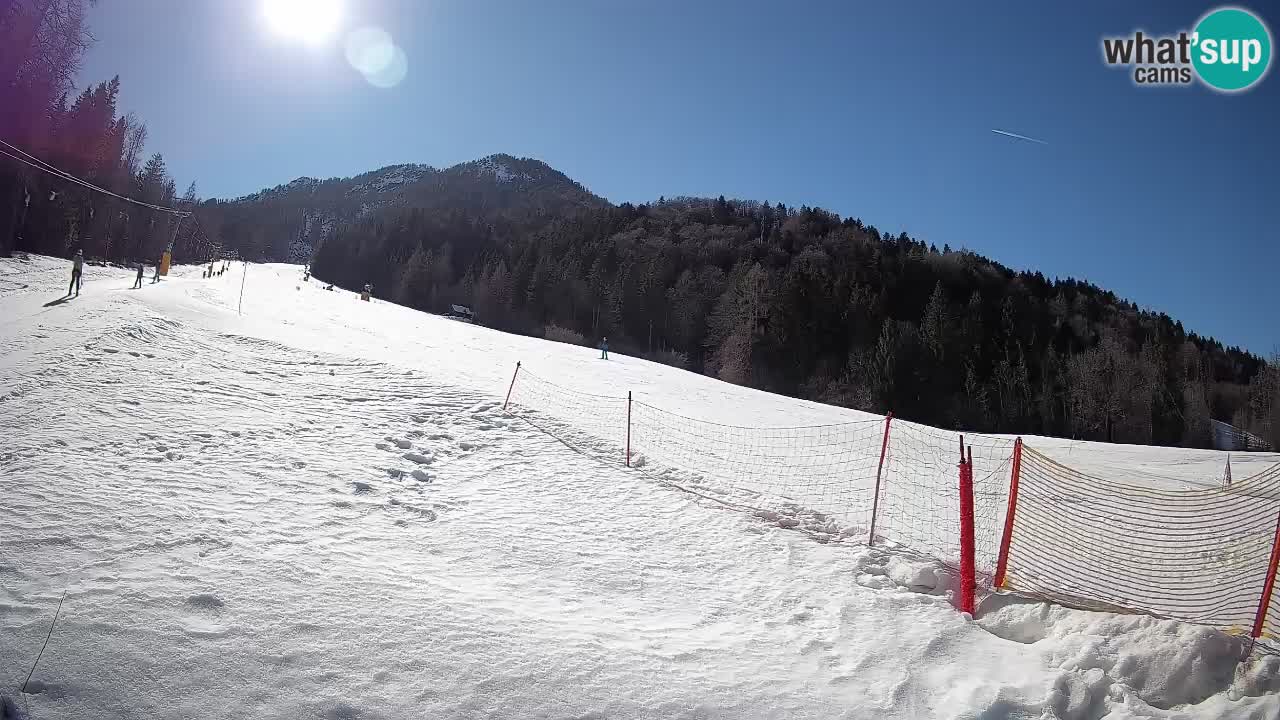 RTC Skigebiet Kranjska Gora | Brsnina
