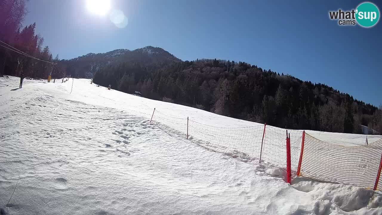 Kranjska Gora Station de ski | Brsnina