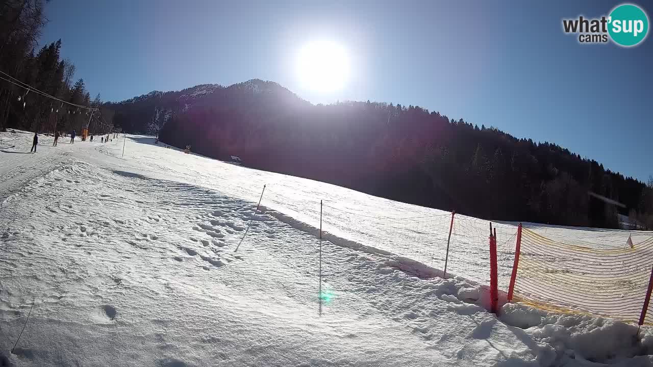 RTC Skigebiet Kranjska Gora | Brsnina
