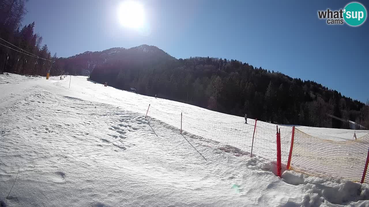 Comprensorio sciistico Kranjska Gora | Brsnina