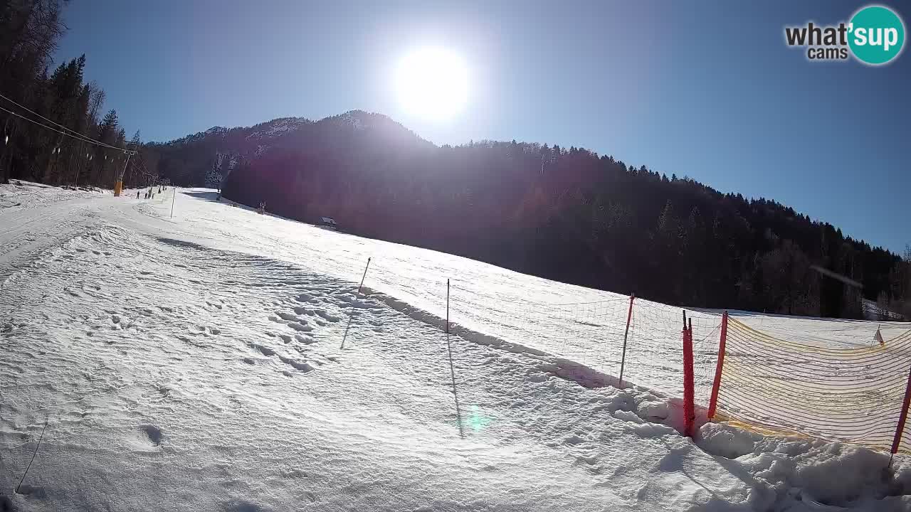 Esquí Kranjska Gora | Brsnina