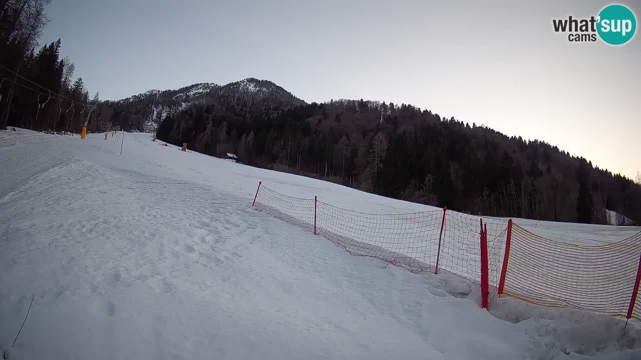 RTC Kranjska Gora | Brsnina