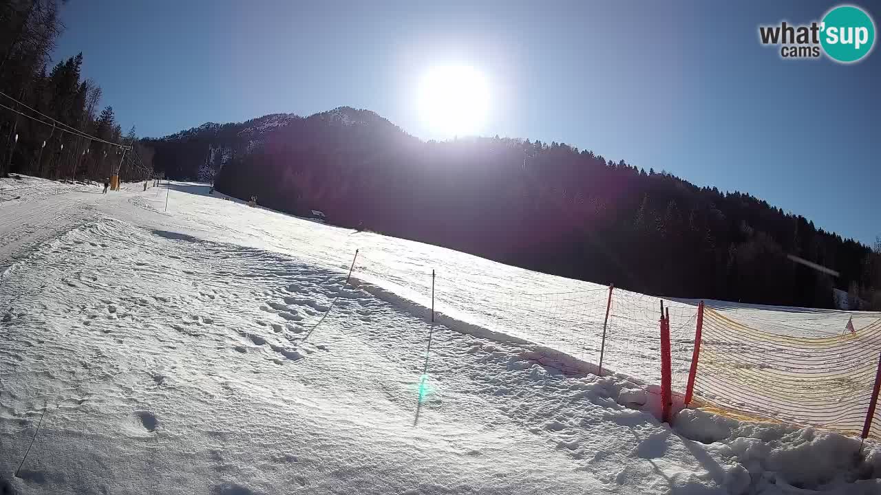 RTC Kranjska Gora | Brsnina