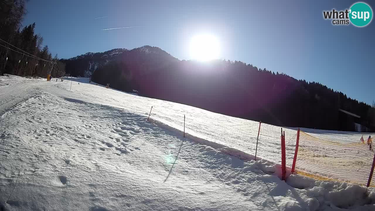 Ski Kranjska Gora | Brsnina