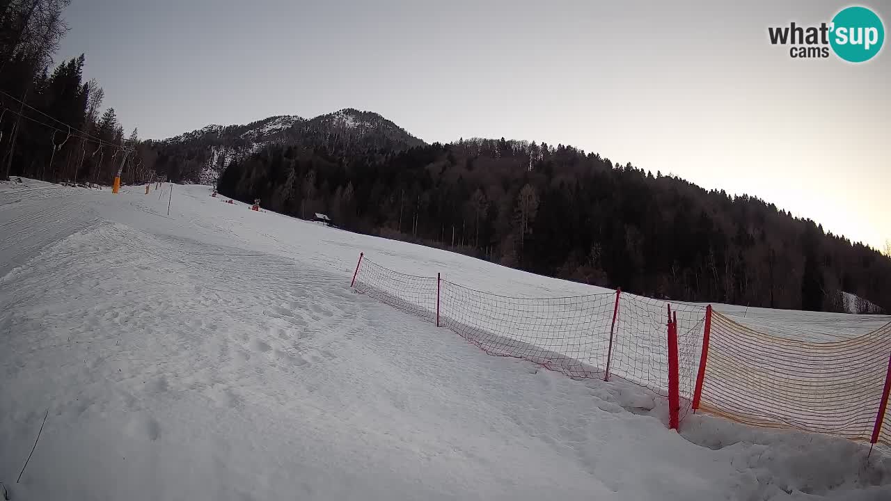 Ski Kranjska Gora | Brsnina