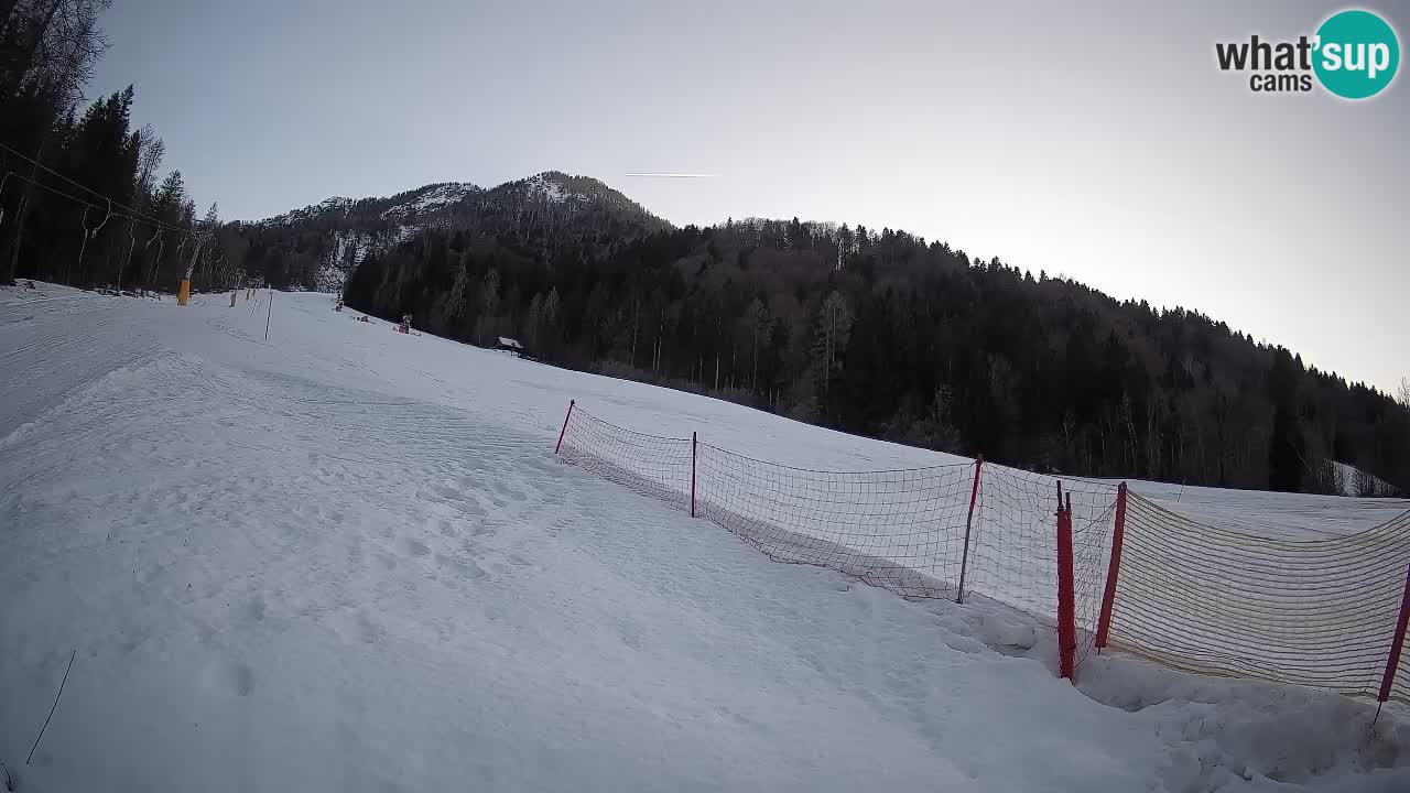 RTC Kranjska Gora | Brsnina