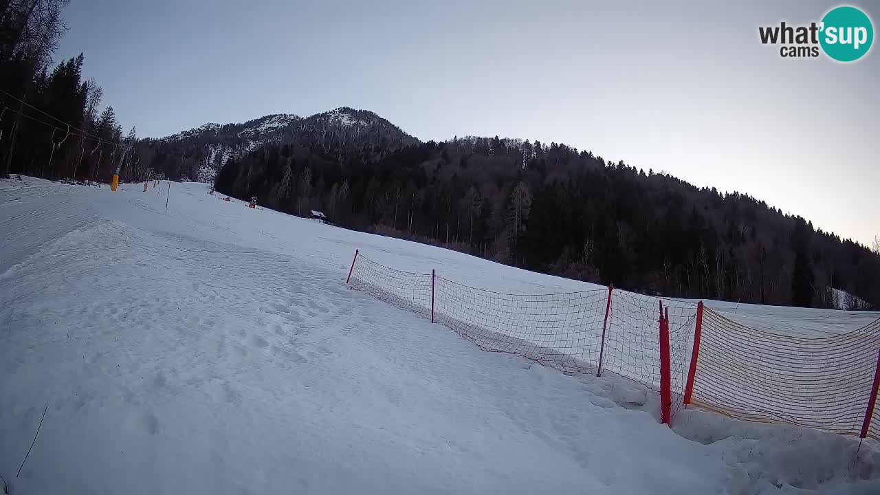 RTC Skigebiet Kranjska Gora | Brsnina