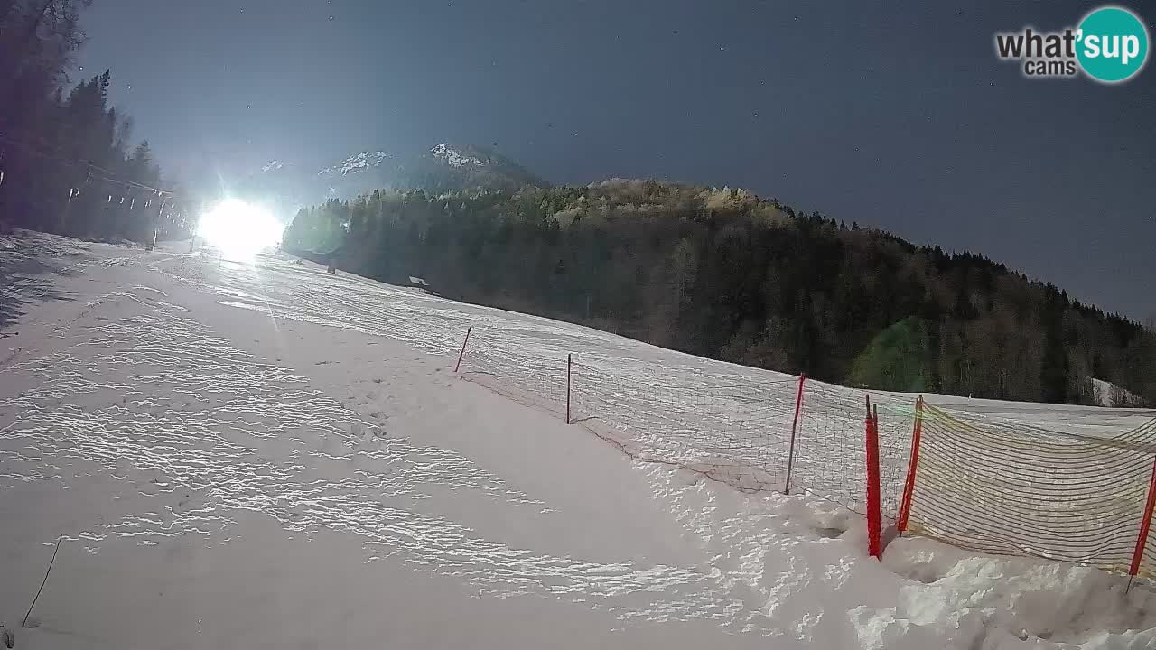 RTC Kranjska Gora | Brsnina