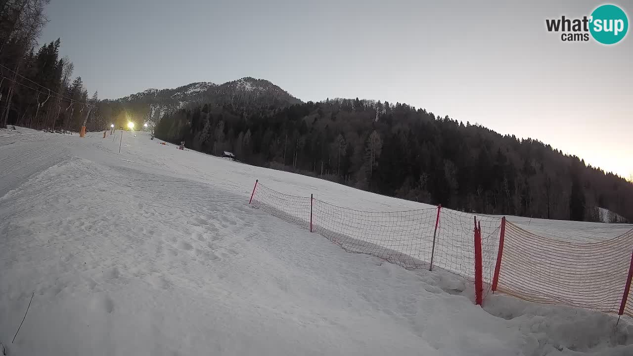 Ski Kranjska Gora | Brsnina
