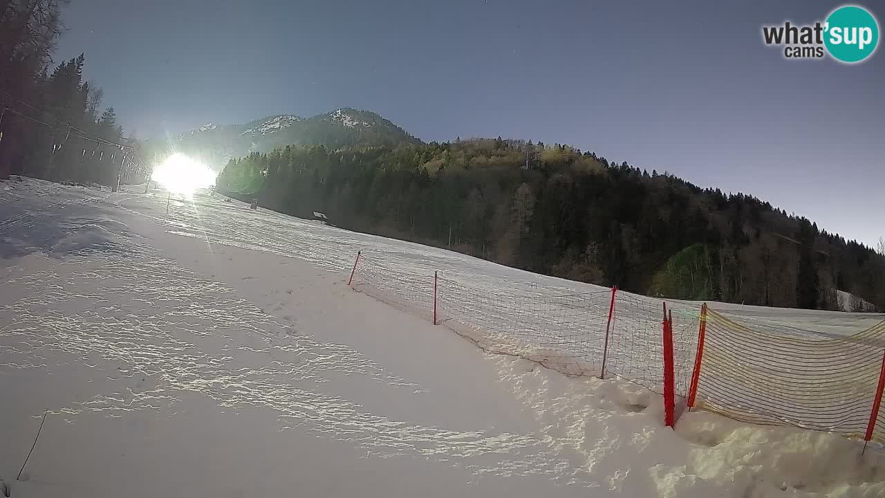 RTC Skigebiet Kranjska Gora | Brsnina