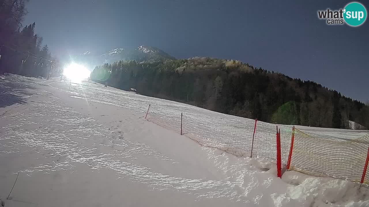 Ski Kranjska Gora | Brsnina