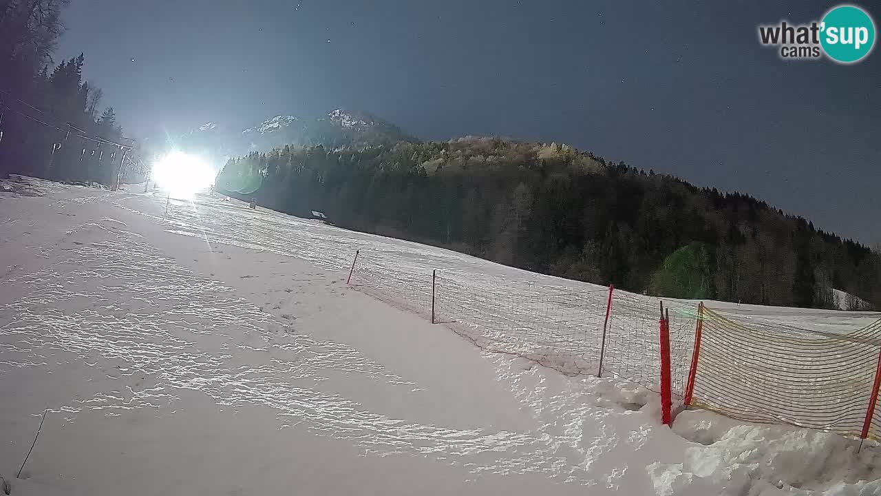 RTC Skigebiet Kranjska Gora | Brsnina