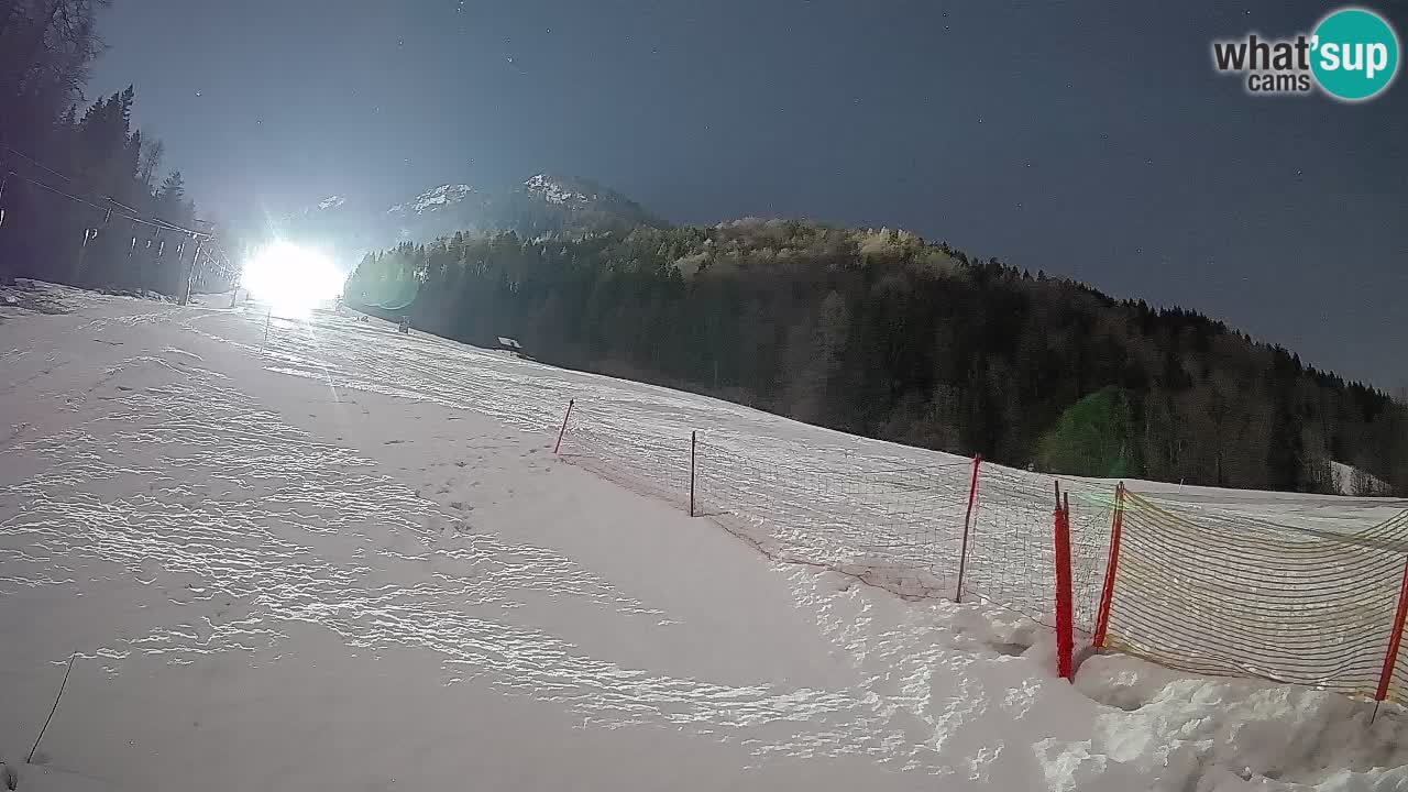 Kranjska Gora Station de ski | Brsnina