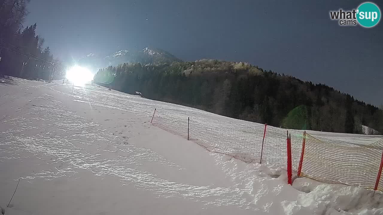 Comprensorio sciistico Kranjska Gora | Brsnina
