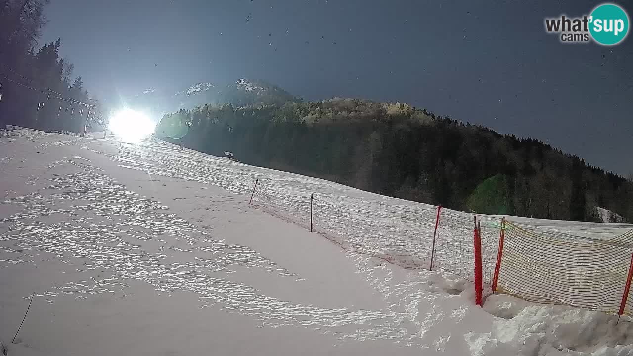 RTC Skigebiet Kranjska Gora | Brsnina