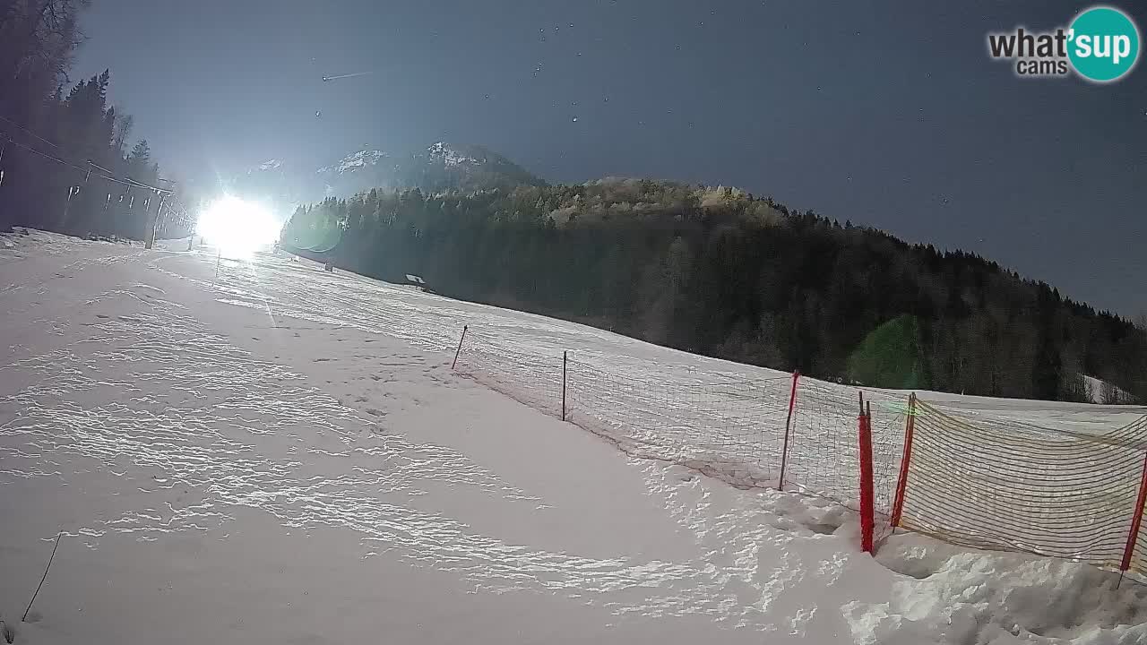 Comprensorio sciistico Kranjska Gora | Brsnina
