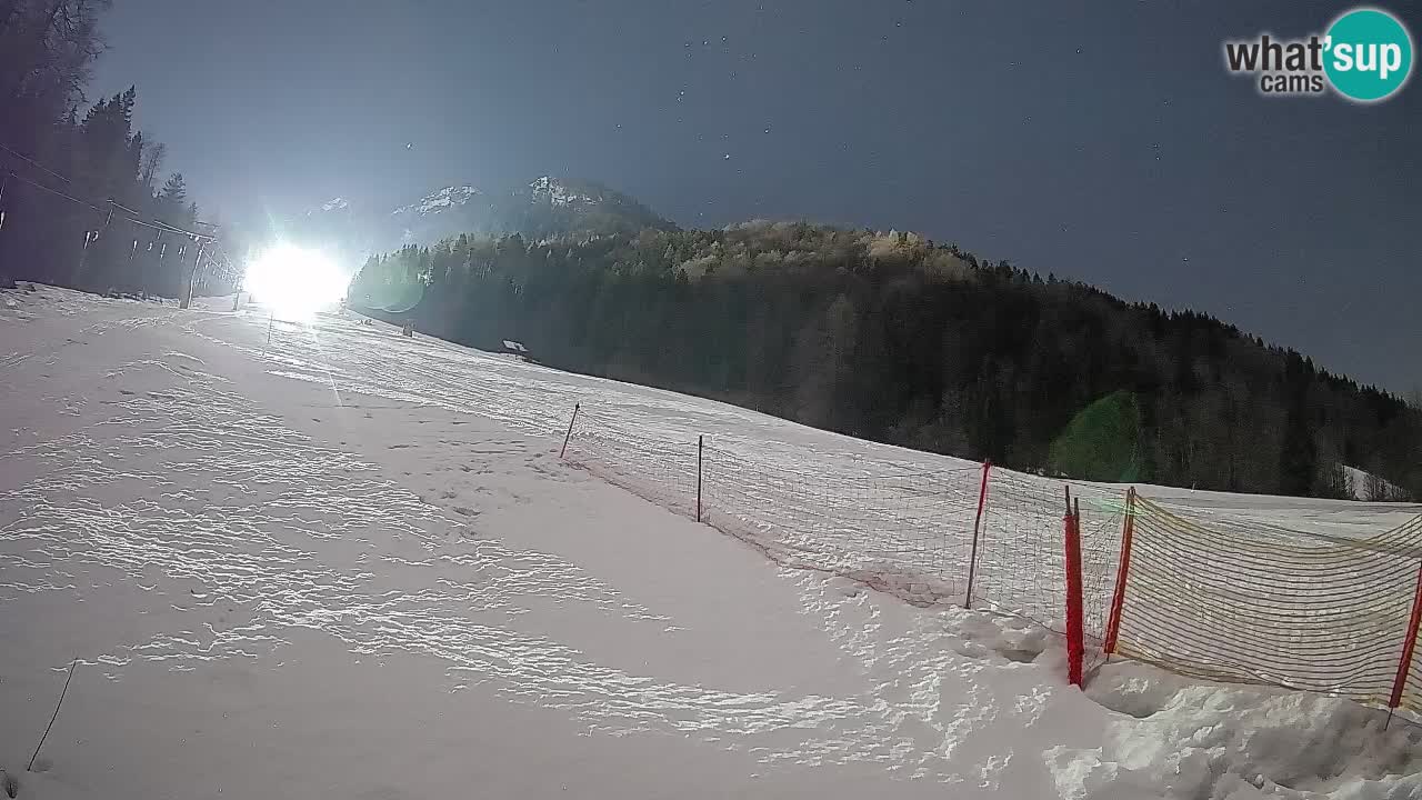 Esquí Kranjska Gora | Brsnina