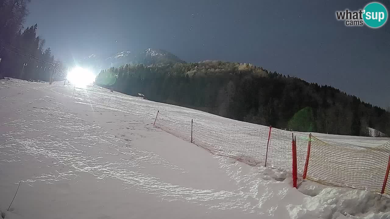 RTC Kranjska Gora | Brsnina
