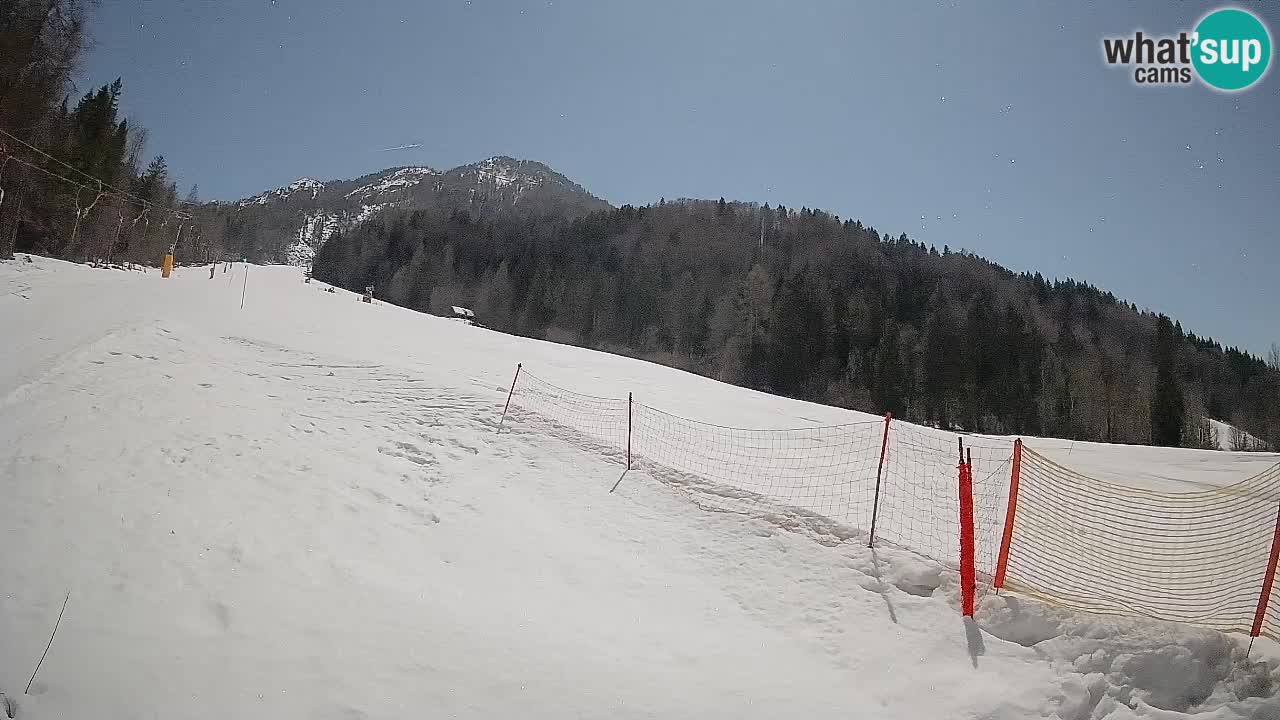 RTC Skigebiet Kranjska Gora | Brsnina