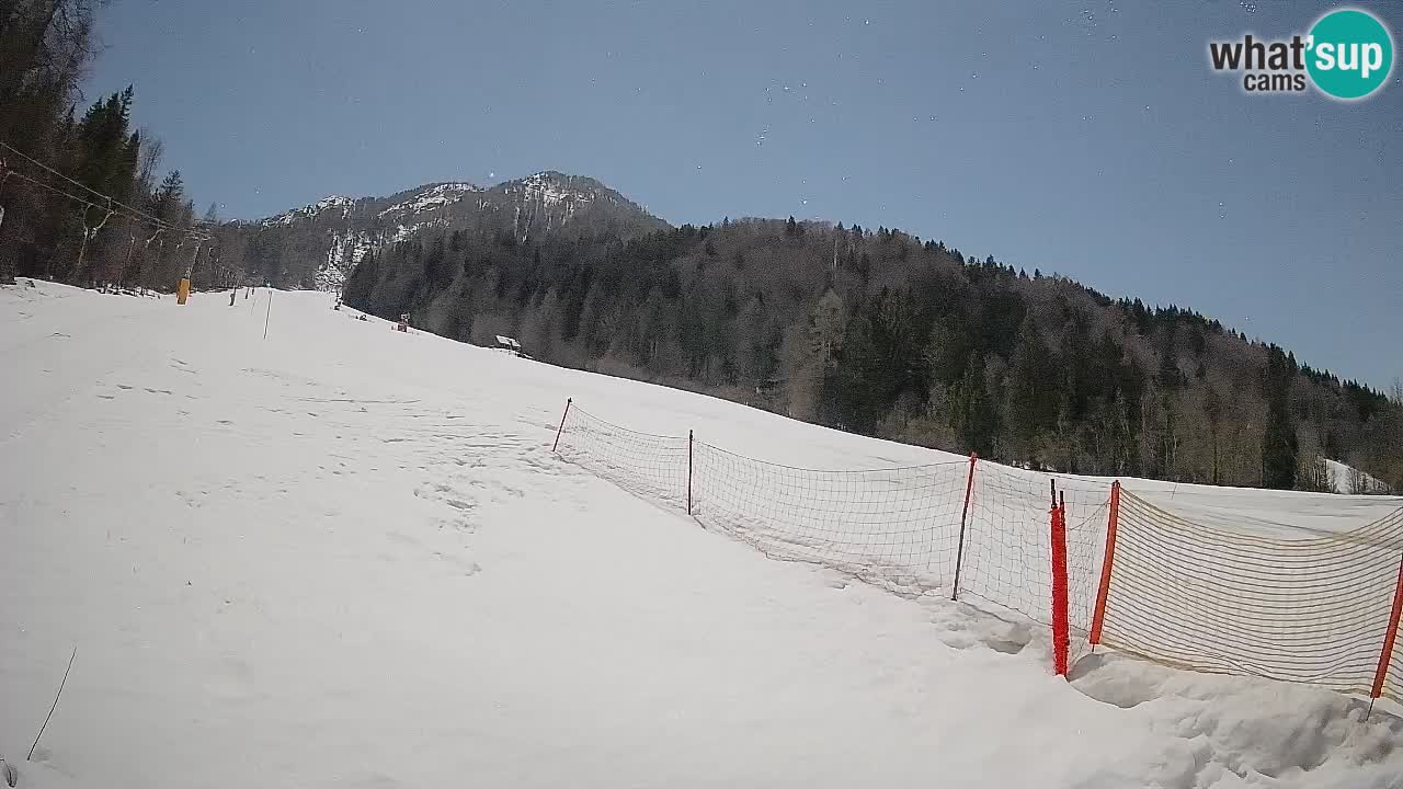 RTC Kranjska Gora | Brsnina