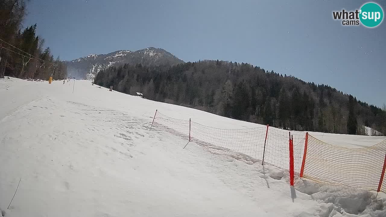 Ski Kranjska Gora | Brsnina