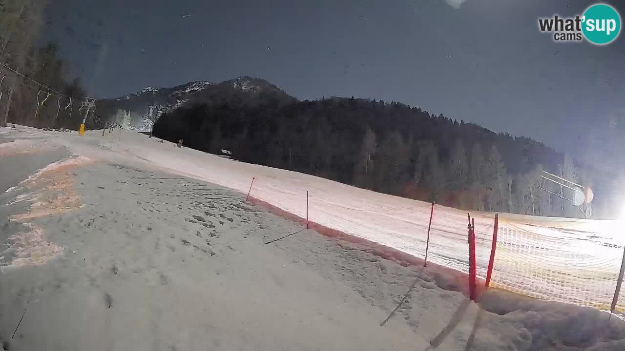 RTC Kranjska Gora | Brsnina