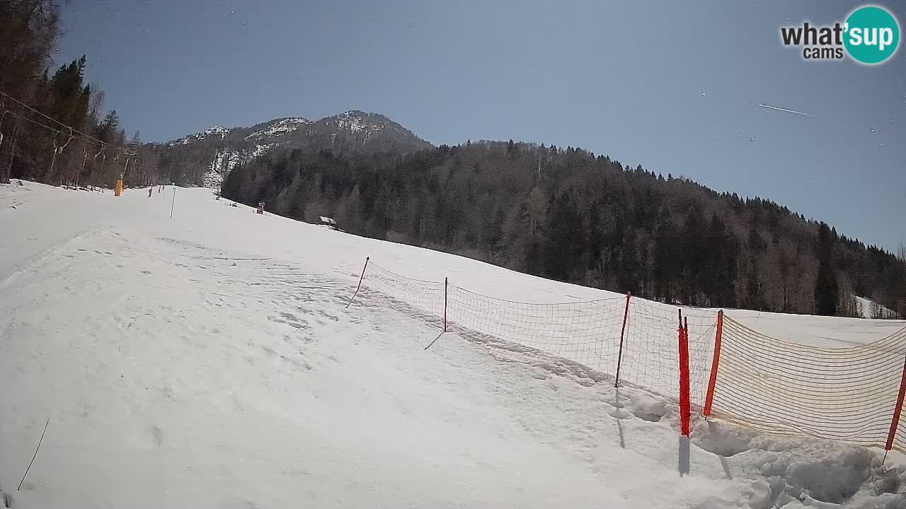 Kranjska Gora SKIJANJE | Brsnina