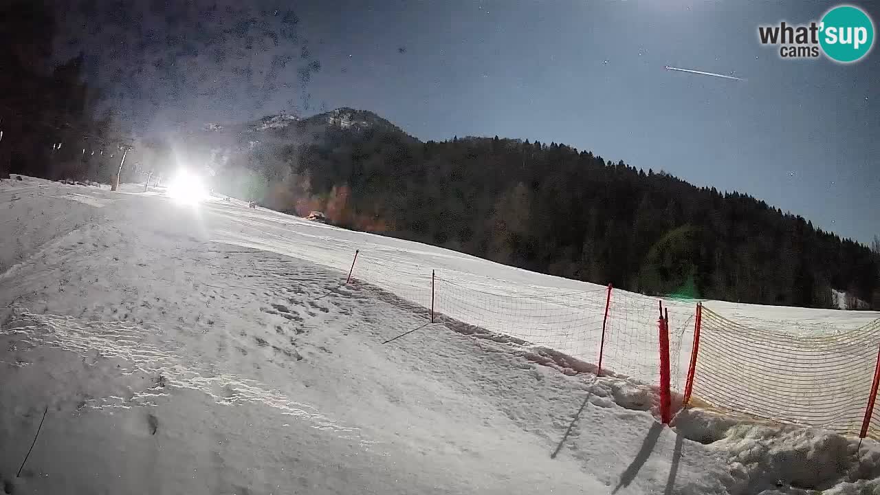 Esquí Kranjska Gora | Brsnina