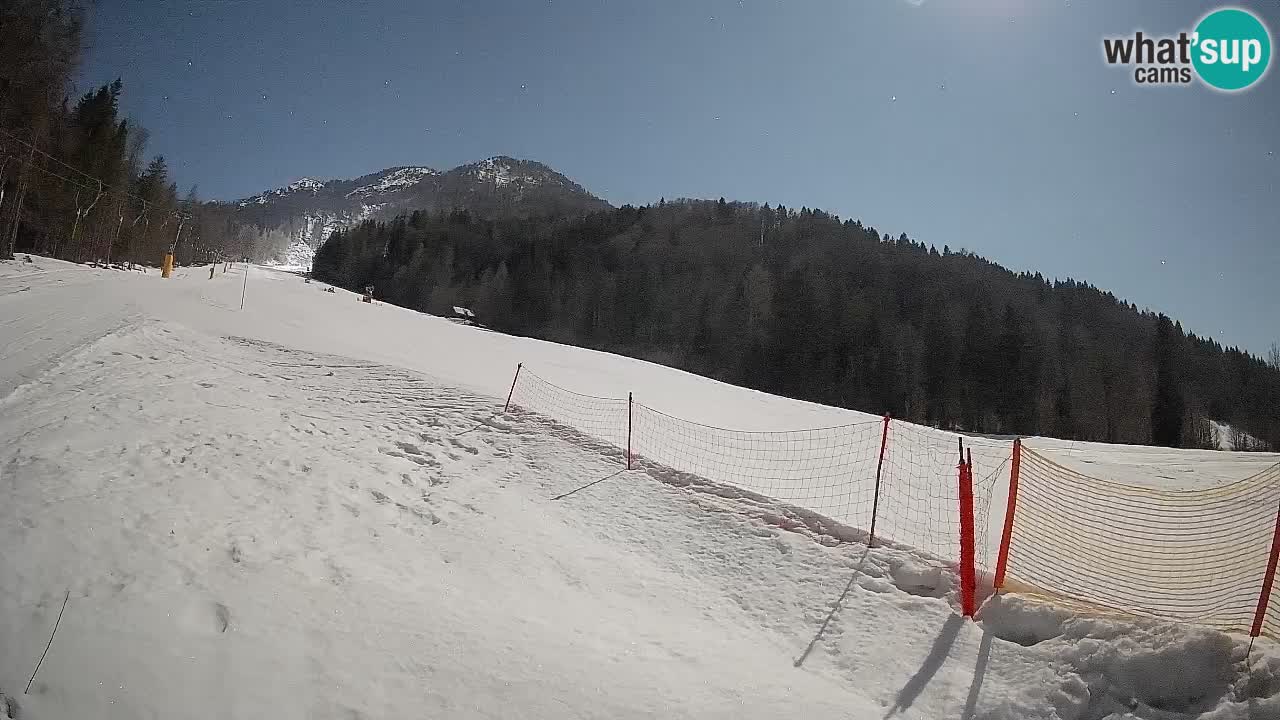 RTC Kranjska Gora | Brsnina