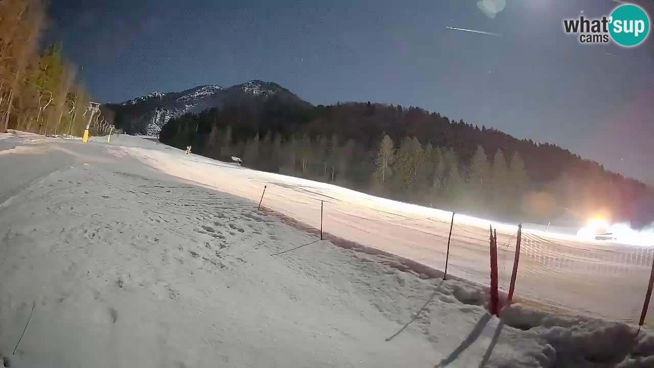 Comprensorio sciistico Kranjska Gora | Brsnina