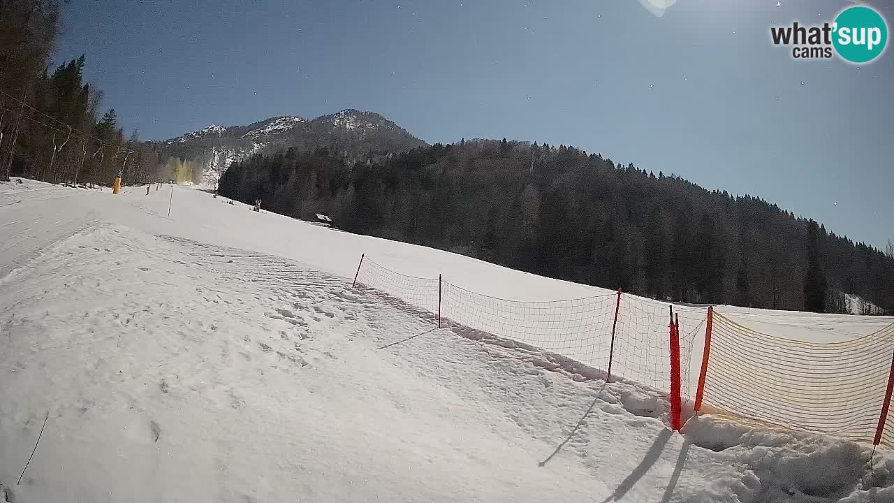 Kranjska Gora Station de ski | Brsnina