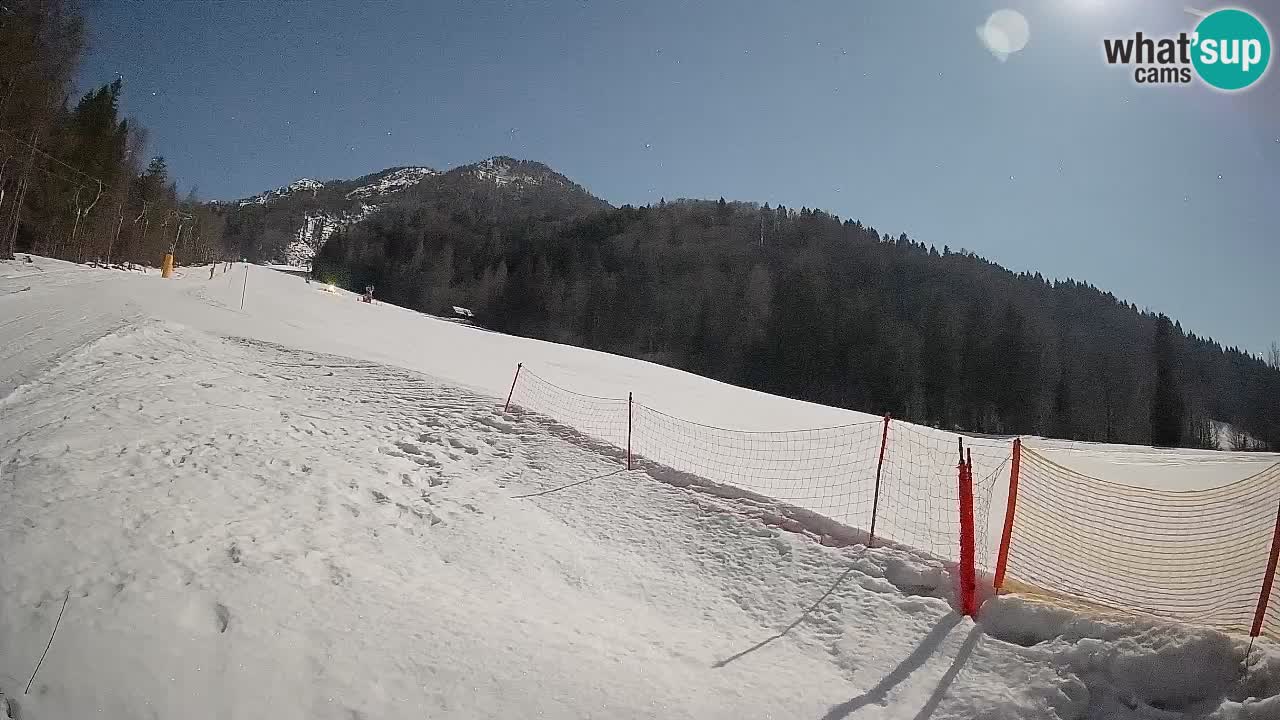 Comprensorio sciistico Kranjska Gora | Brsnina