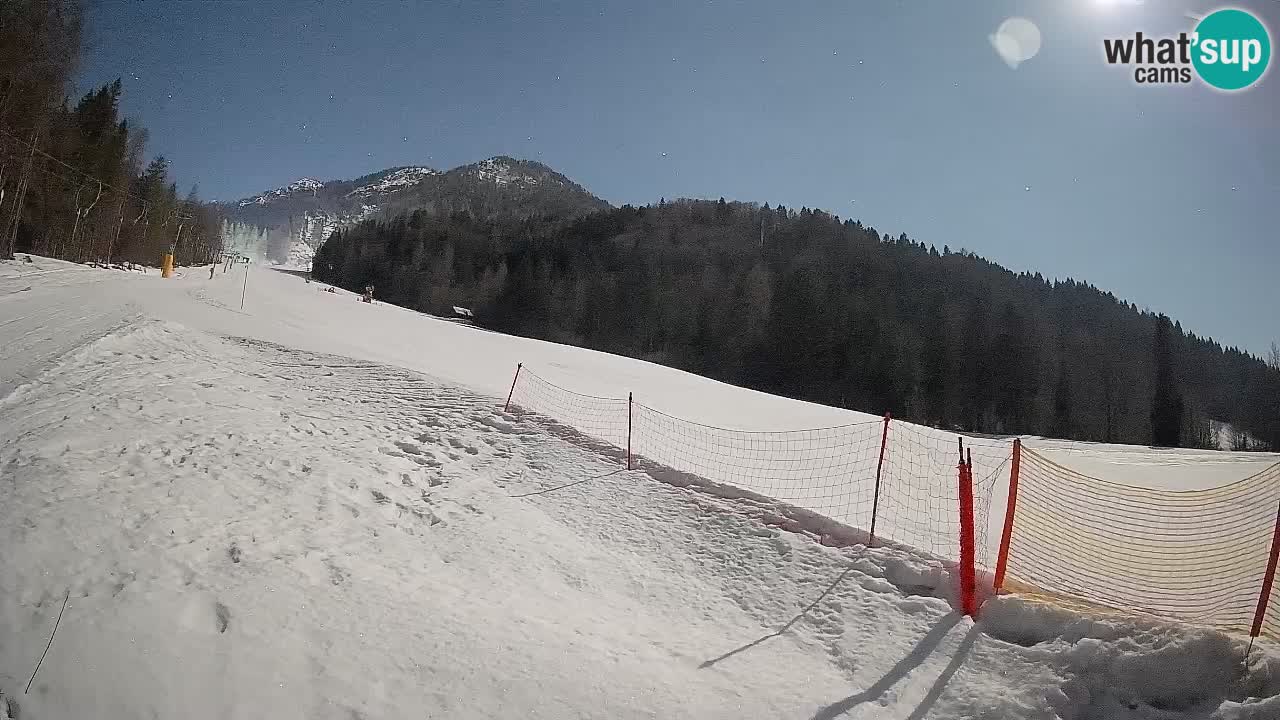 Kranjska Gora Station de ski | Brsnina